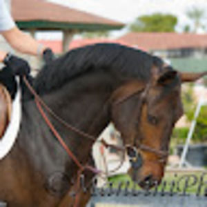 Meet your Posher, Wendy